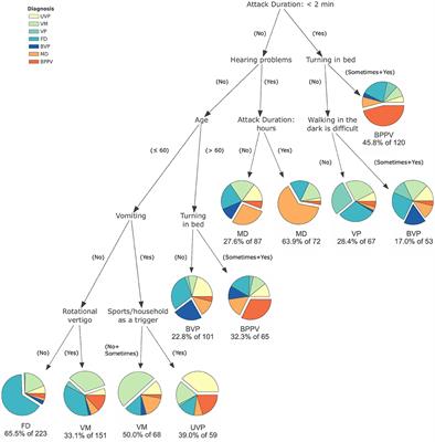 A Set of Eight Key Questions Helps to Classify Common Vestibular Disorders—Results From the DizzyReg <mark class="highlighted">Patient Registry</mark>